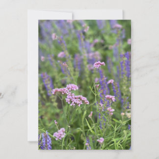 Post card  inbjudningar