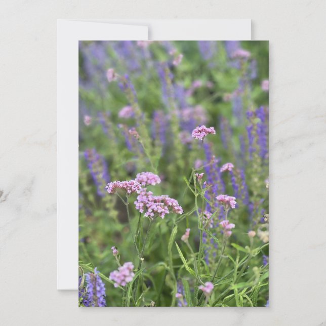 Post card  inbjudningar (Framsida)