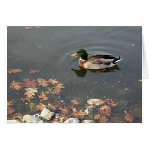 Post för Autumn Mallard Hälsningskort