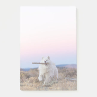 Post-it-anteckningar för Gren Manager 4"x6" Post-it Block