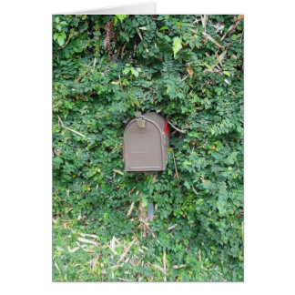 Posta i paradis hälsningskort