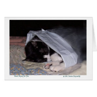 Posta jag själv till dig hälsningskort