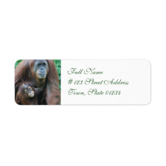 Postadsetiketter för Orangutan-familjen Returadress Etikett