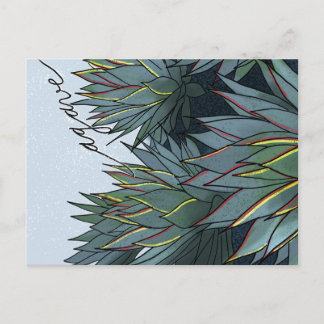Postal Agave Mexico Souvenir Vykort