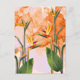 Postal Birds of Paradise in Bloom Helg Vykort