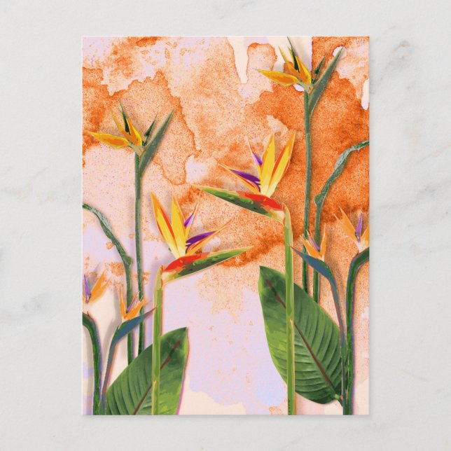 Postal Birds of Paradise in Bloom Helg Vykort (Framsida)