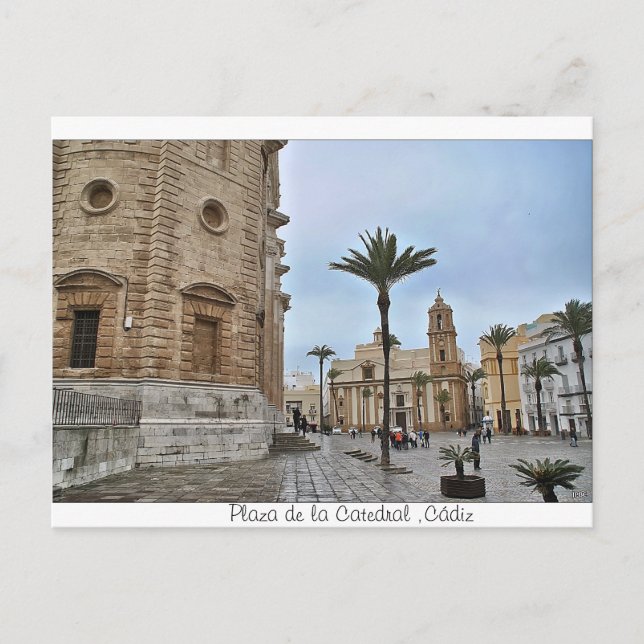 Postal de Plaza de la Catedral, Cádiz Vykort (Framsida)