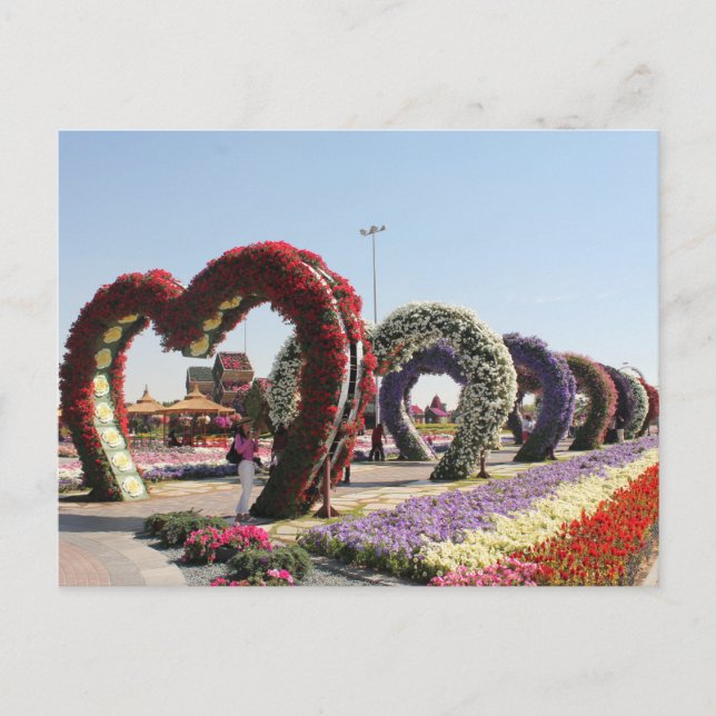 Postal Dubai Miracle Garden Vykort (Framsida)