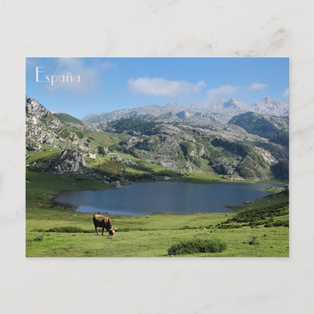 postal Lagos de Covadonga en Asturias, España Vykort (Framsida)
