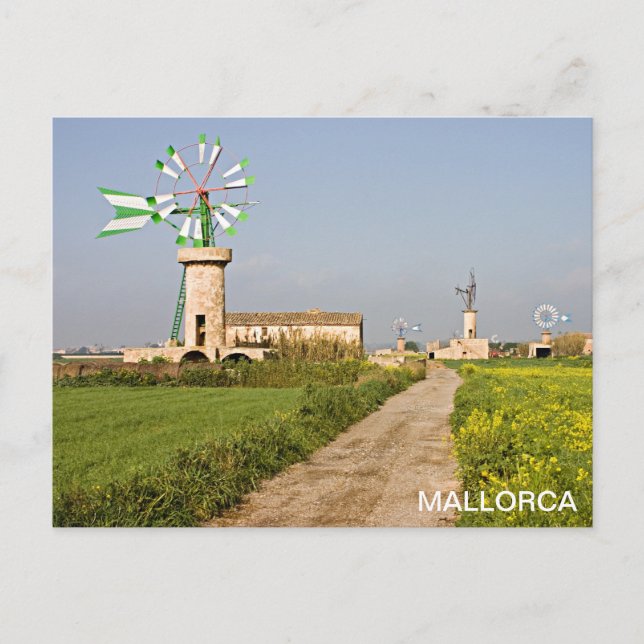 postal molino de viento en Mallorca Vykort (Framsida)