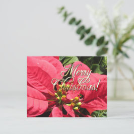 Postal Xmas 002  - Postcard Vykort