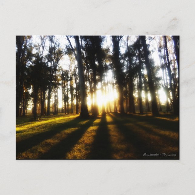 Postales Uruguay Vykort (Framsida)