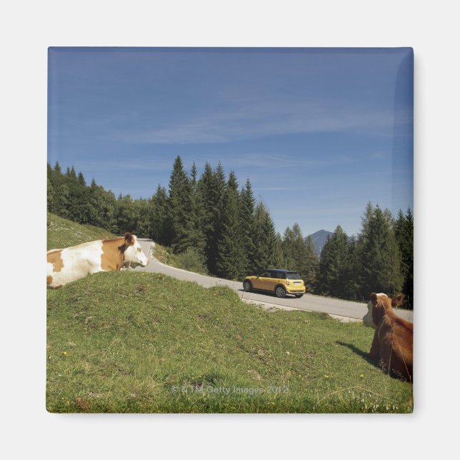 postalm road, weissenbachtal, magnet (Framsidan)