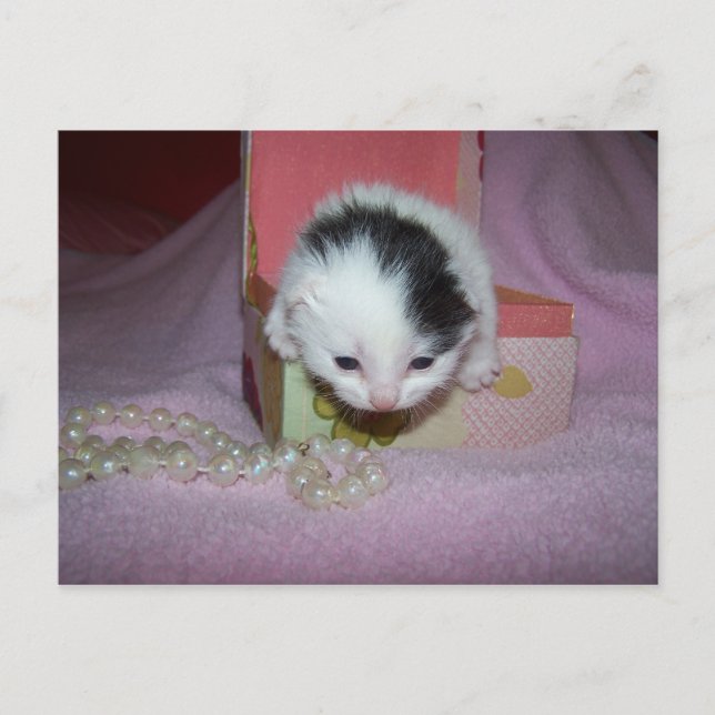 Postbefordran Vykort (Framsida)