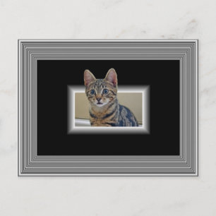 POSTCARD 3D KATTUNGE VYKORT