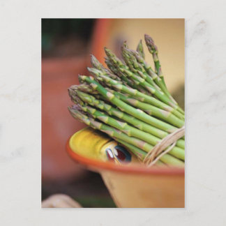 POSTCARD ASPARAGUS VYKORT