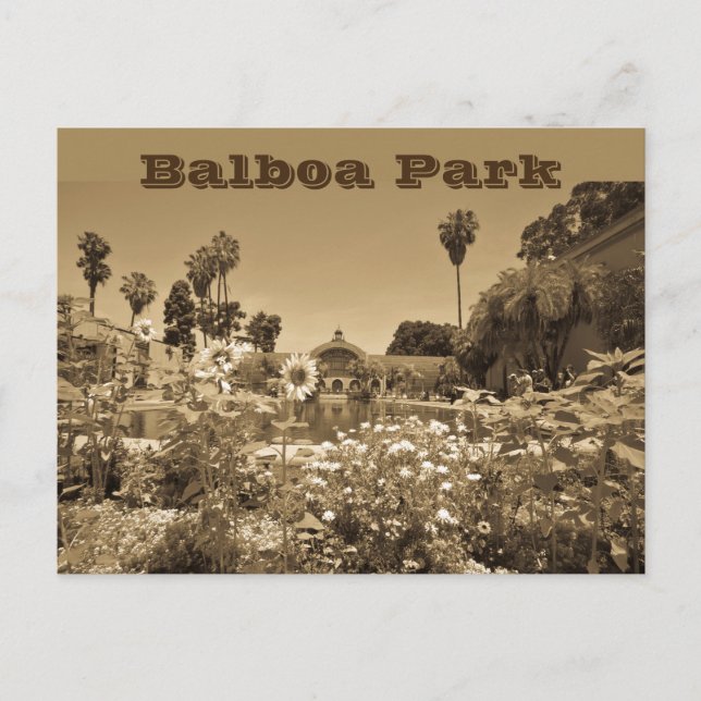 Postcard Balboa Park Sepia Tone Vykort (Framsida)