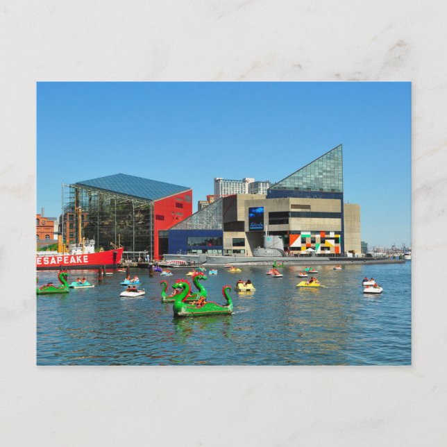 Postcard Baltimore National Aquarium, USA Vykort (Framsida)