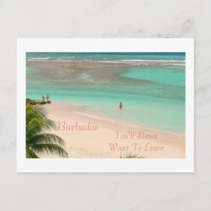 POSTCARD, BARBADOS - DU VILL ALDRIG LÄMNA! VYKORT