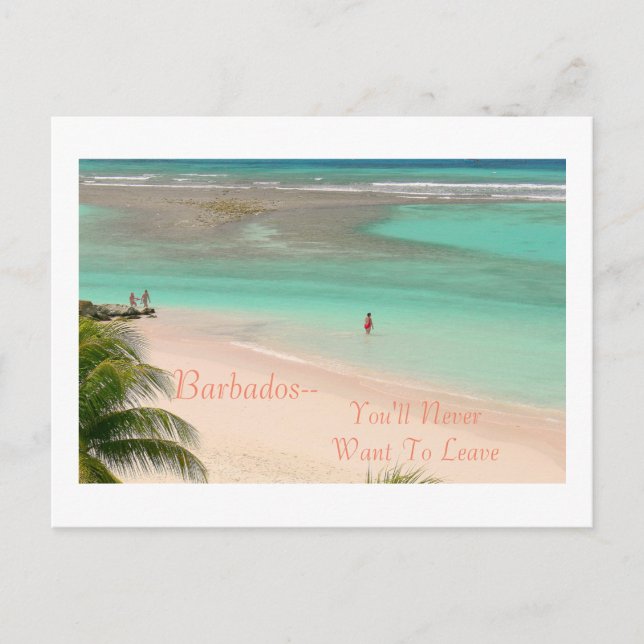POSTCARD, BARBADOS - DU VILL ALDRIG LÄMNA! VYKORT (Framsida)