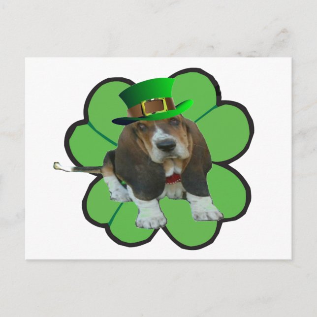 Postcard Basset Hound Lycklig StPatrick's Day Klöv Vykort (Framsida)
