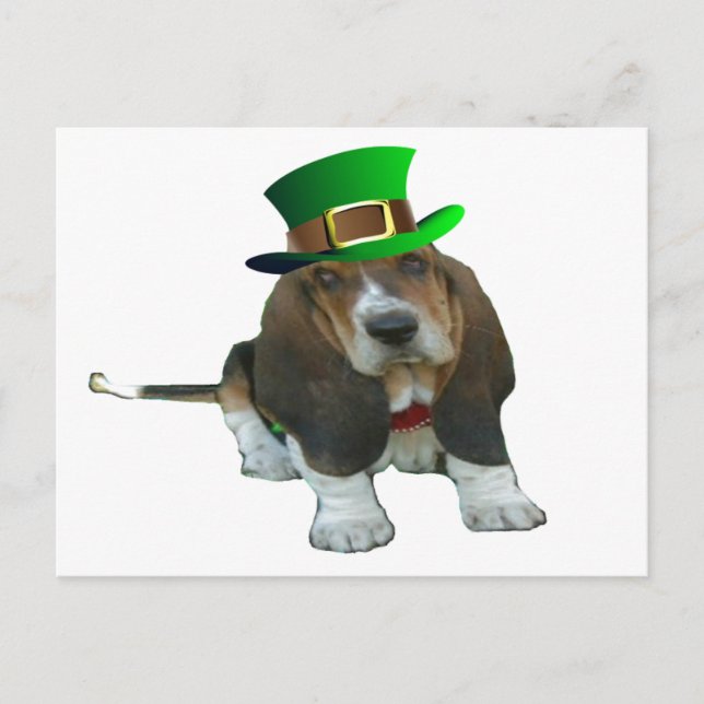 Postcard Basset Hound Lycklig StPatrick's Day Vykort (Framsida)