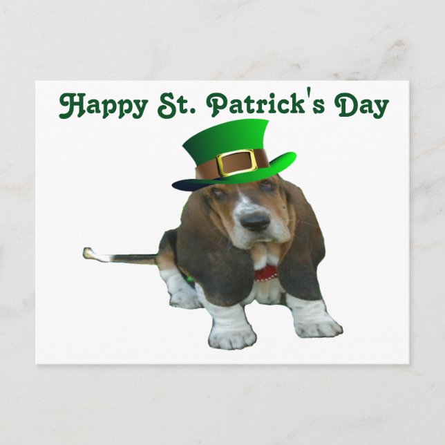 Postcard Basset Hound Lycklig StPatrick's Day Vykort (Framsida)