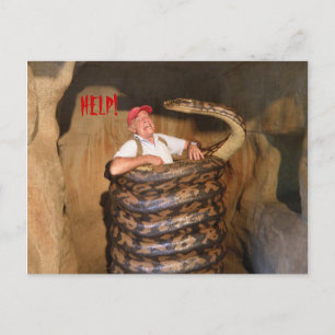 Postcard Big Snake QLD Australien Vykort