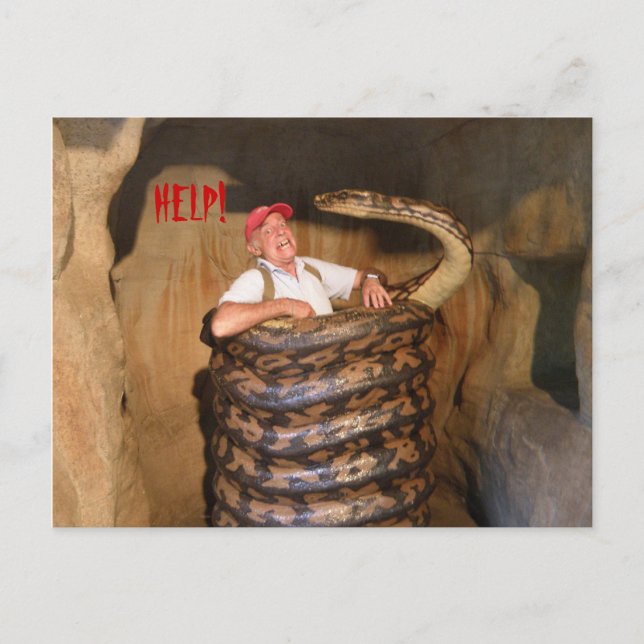 Postcard Big Snake QLD Australien Vykort (Framsida)