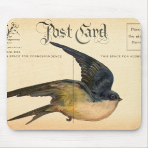 Postcard Bird Digital Art Musmatta
