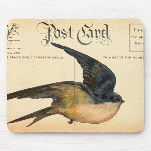 Postcard Bird Digital Art Musmatta (Framsidan)