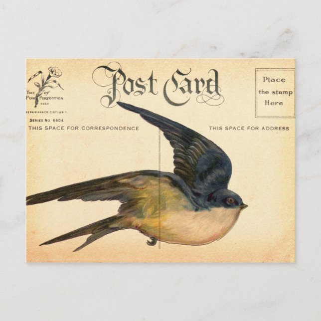 Postcard Bird Digital Art Vykort (Framsida)