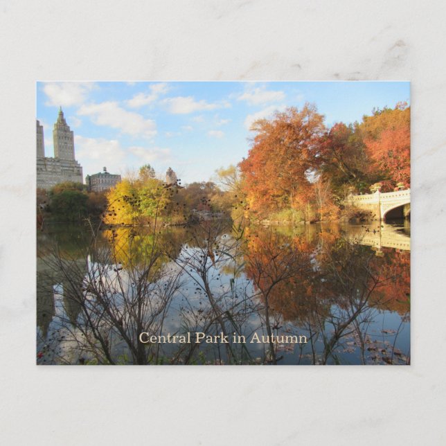POSTCARD Central Park Reflections New York City Vykort (Framsida)