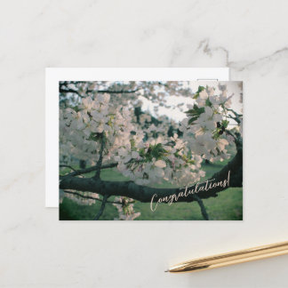 PostCard Congratulations! Helg Vykort