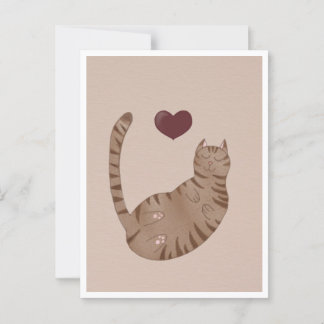 Postcard - Cute Cat Vykort