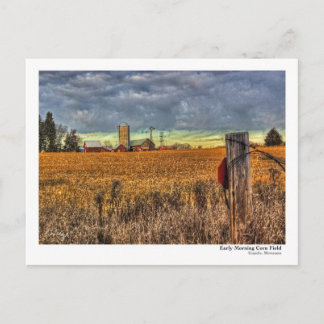 PostCard för Fält i tidigt på morgonen Maj Vykort