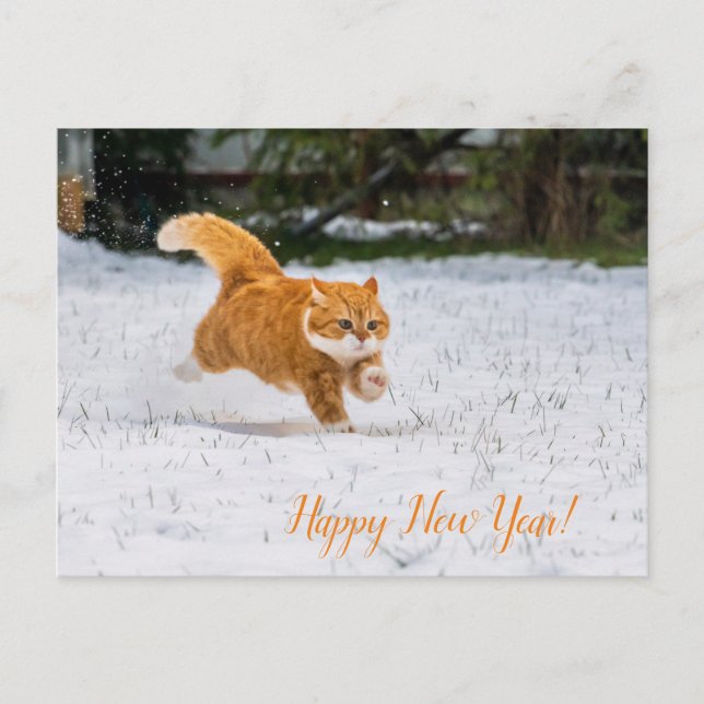 PostCard för gott nytt år från Cute Ginger Cat Vykort (Framsida)