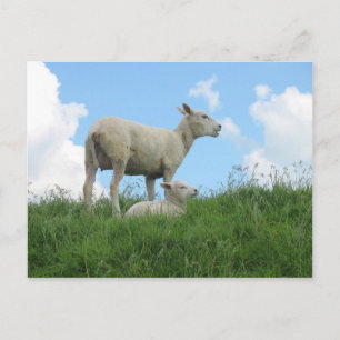 PostCard för mor och Baby får Vår Vykort