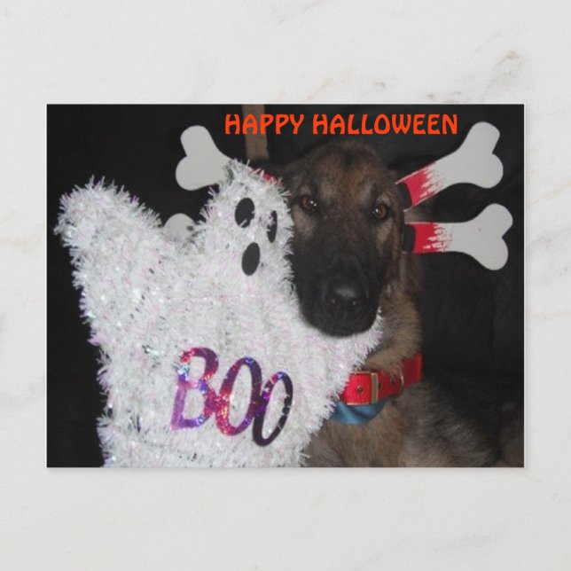 Postcard German Shepherd Halloween Boo Vykort (Framsida)