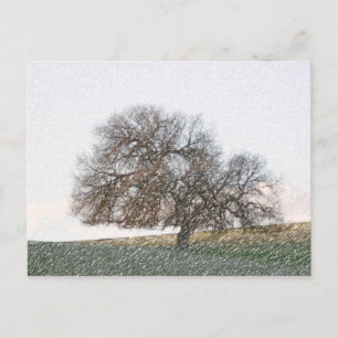 POSTCARD - Glömt Oak Vykort