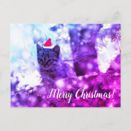 Postcard God jul Kitten Helg Vykort