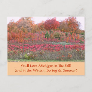 POSTCARD, ’HILLSIDE ABLAZE WITH FÄRG’ (MICHIGAN) VYKORT