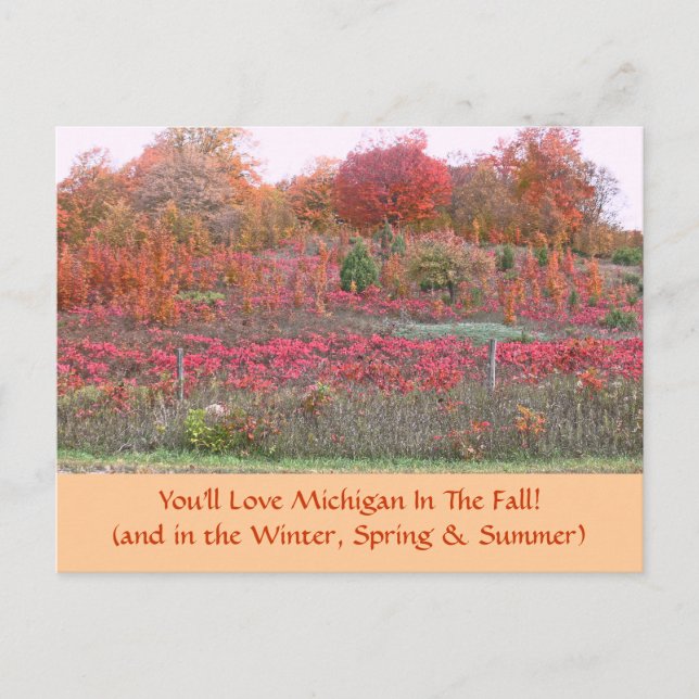 POSTCARD, ’HILLSIDE ABLAZE WITH FÄRG’ (MICHIGAN) VYKORT (Framsida)