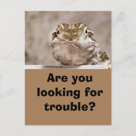 Postcard Humor Echse schaut herausfordernd hervor Vykort