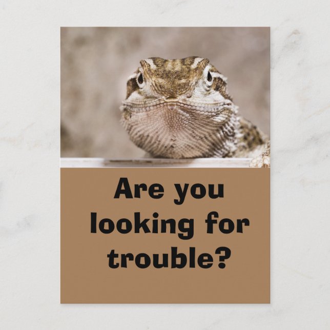 Postcard Humor Echse schaut herausfordernd hervor Vykort (Framsida)