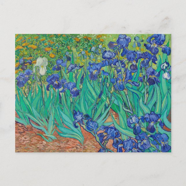 POSTCARD "IRISES 1889" AV VINCENT Van Gogh Vykort (Framsida)