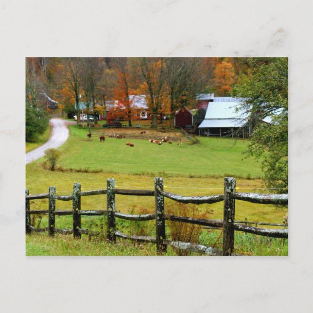 Postcard Jenne Farm Vykort (Framsida)