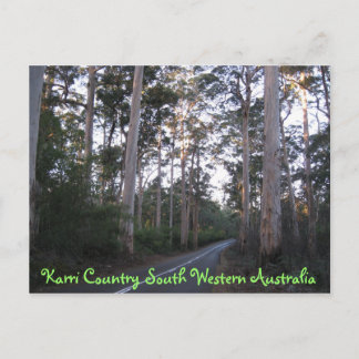 POSTCARD - Karri Land South Westerna Australien Vykort