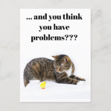 Postcard Katze schaut ’Küken’ an schwarzer Humor