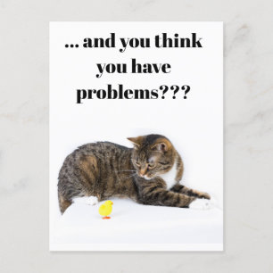 Postcard Katze schaut ’Küken’ an schwarzer Humor Vykort